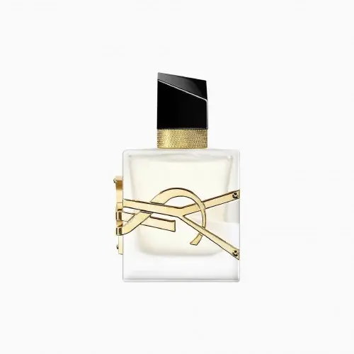 Yves Saint Laurent Saint Laurent