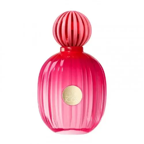 Antonio Banderas Icon Femme