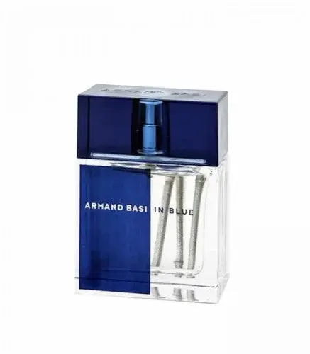 Armand Basi In Blue
