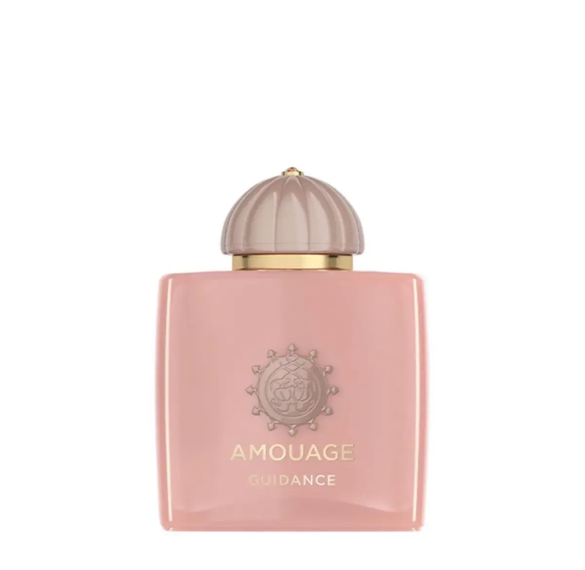 Amouage Guidance أمواج جايدنس 100 مل تستر