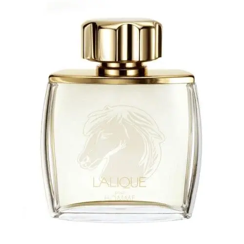 Lalique Pour Homme