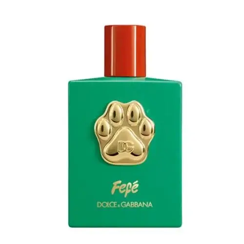 Dolce & Gabbana Fefé For Dogs