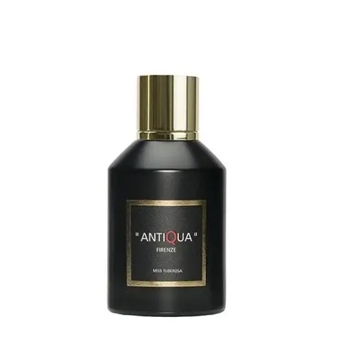 Antiqua Firenze Miss Tobrosa Antiqua Florence