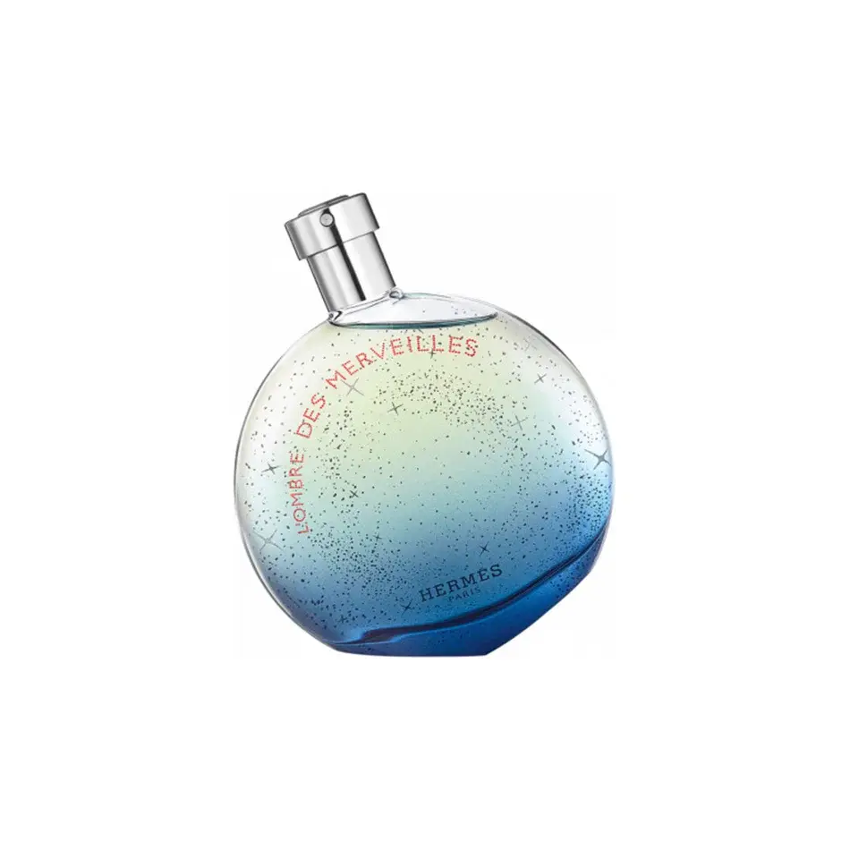 last chance Hermes L'Ombre Des Merveilles