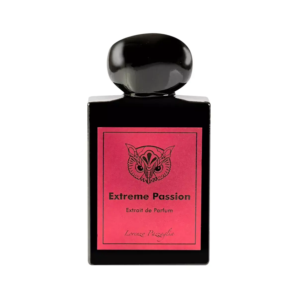 Lorenzo Pazzaglia Extreme Passion