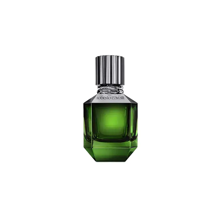 Roberto Cavalli Paradise Found for Men