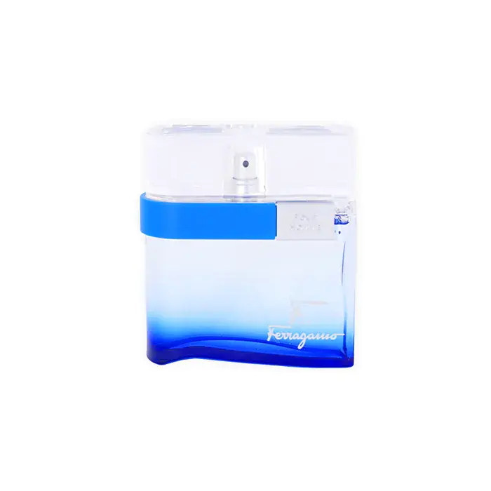 Salvatore Ferragamo F by pour Homme Free Time