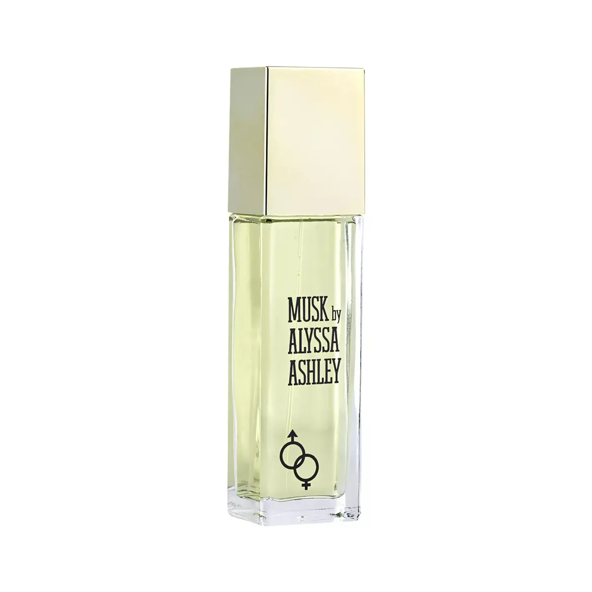 Alyssa Ashley Cedro Musk
