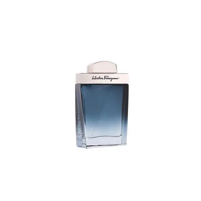 Salvatore Ferragamo Subtil