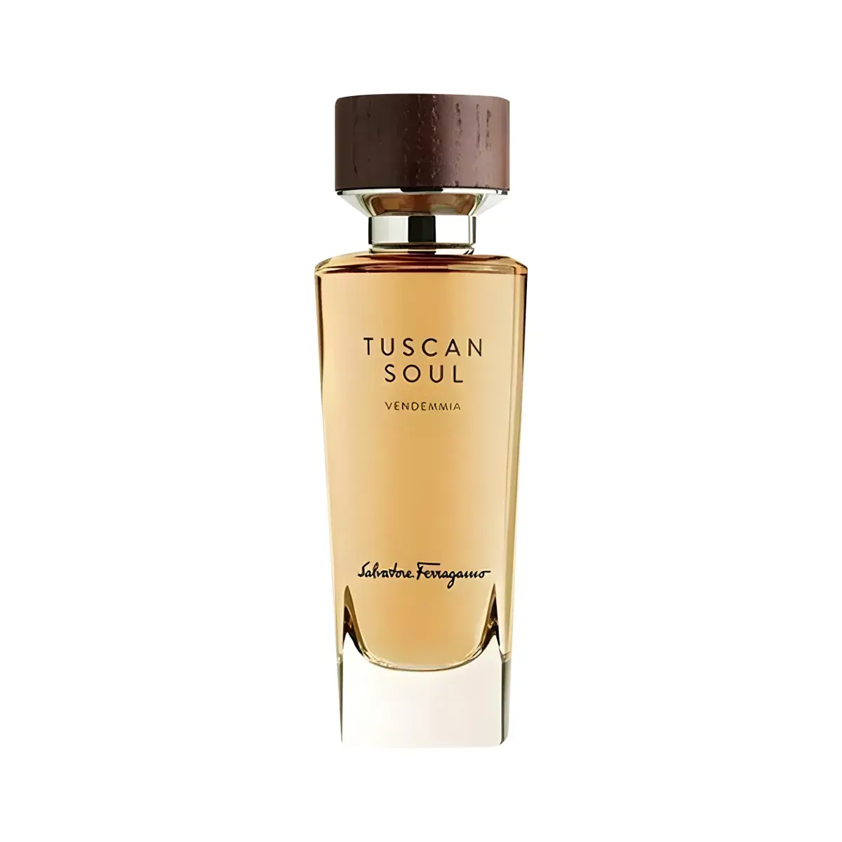Salvatore Ferragamo Tuscan Soul - Vendemmia