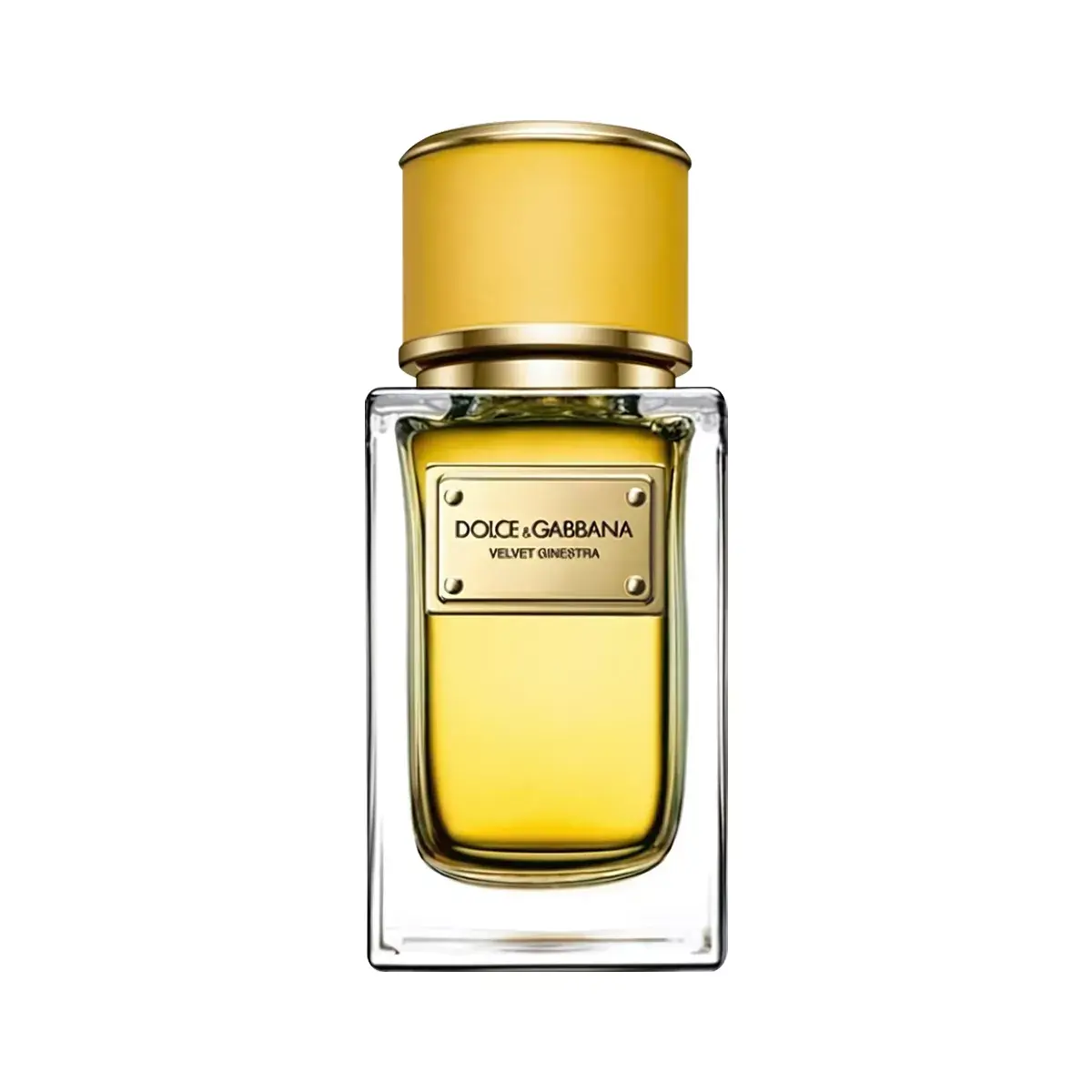 Dolce & Gabbana Velvet Ginestra