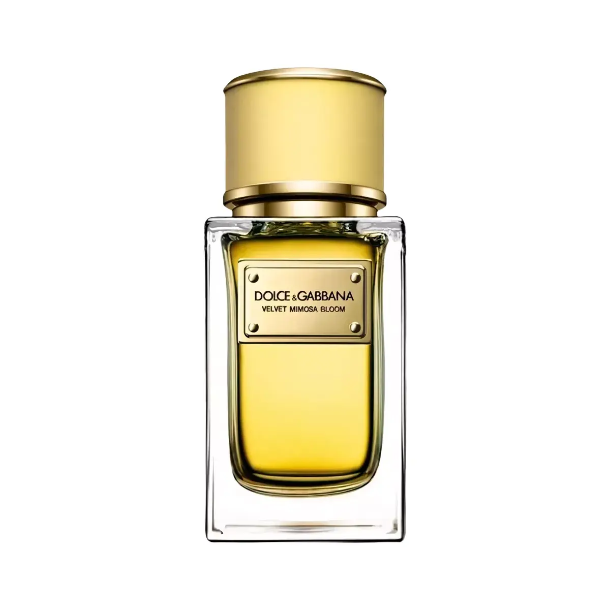 Dolce & Gabbana Velvet Mimosa Bloom