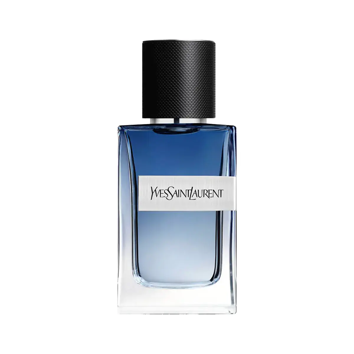Yves Saint Laurent Y Live