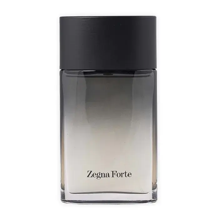 Ermenegildo Zegna Forte